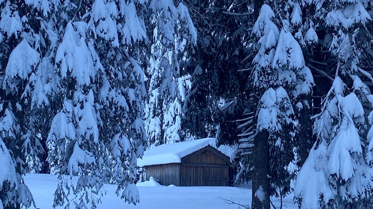 Photo of Outdoor in Tannheim