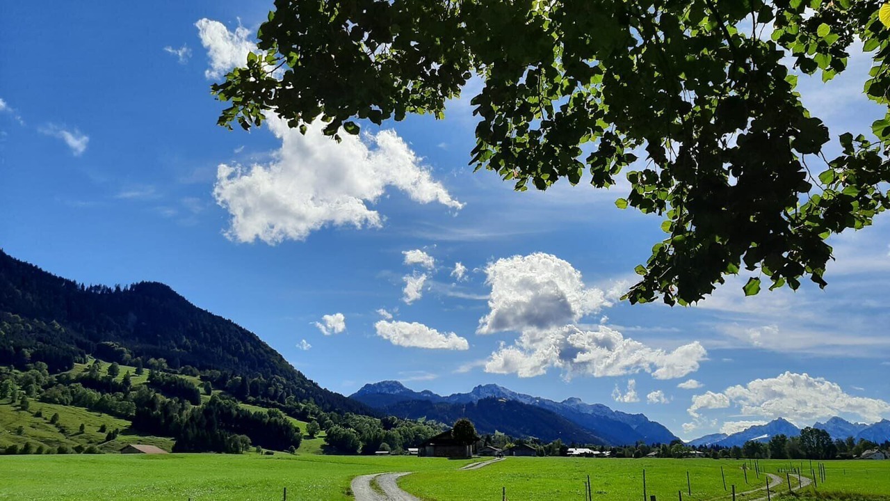 Photo of Others in Ried