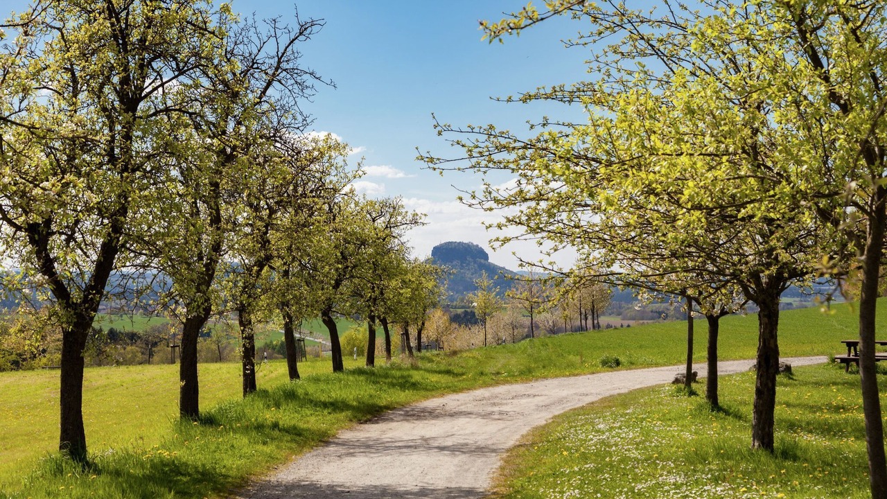 Photo of Others in Mittelndorf