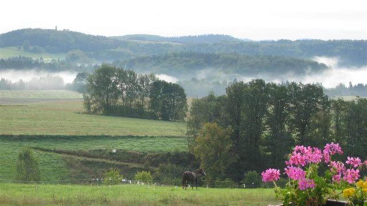 Photo of Others in Mittelndorf