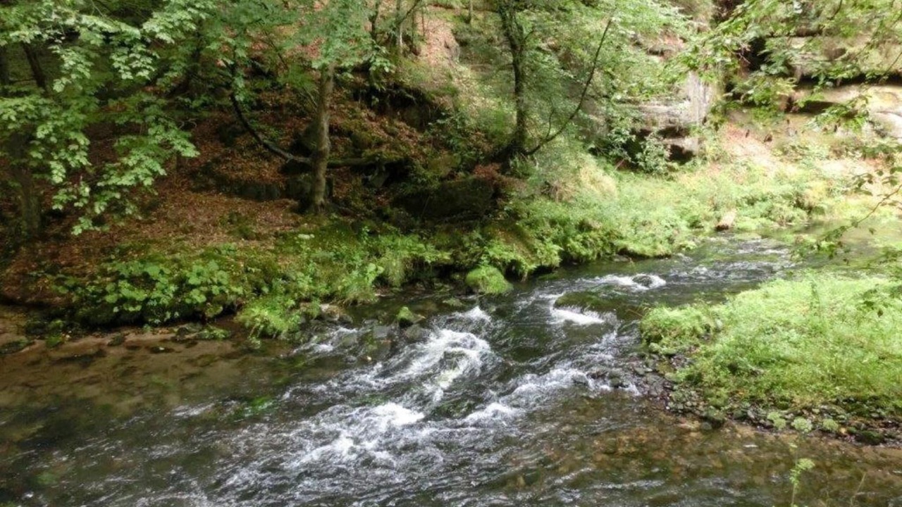 Photo of Others in Mittelndorf