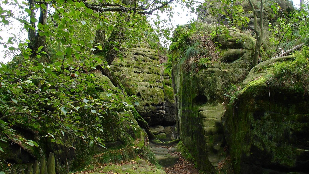 Photo of Others in Weißig