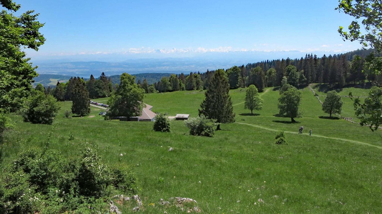 Photo of Others in Ruhmannsfelden