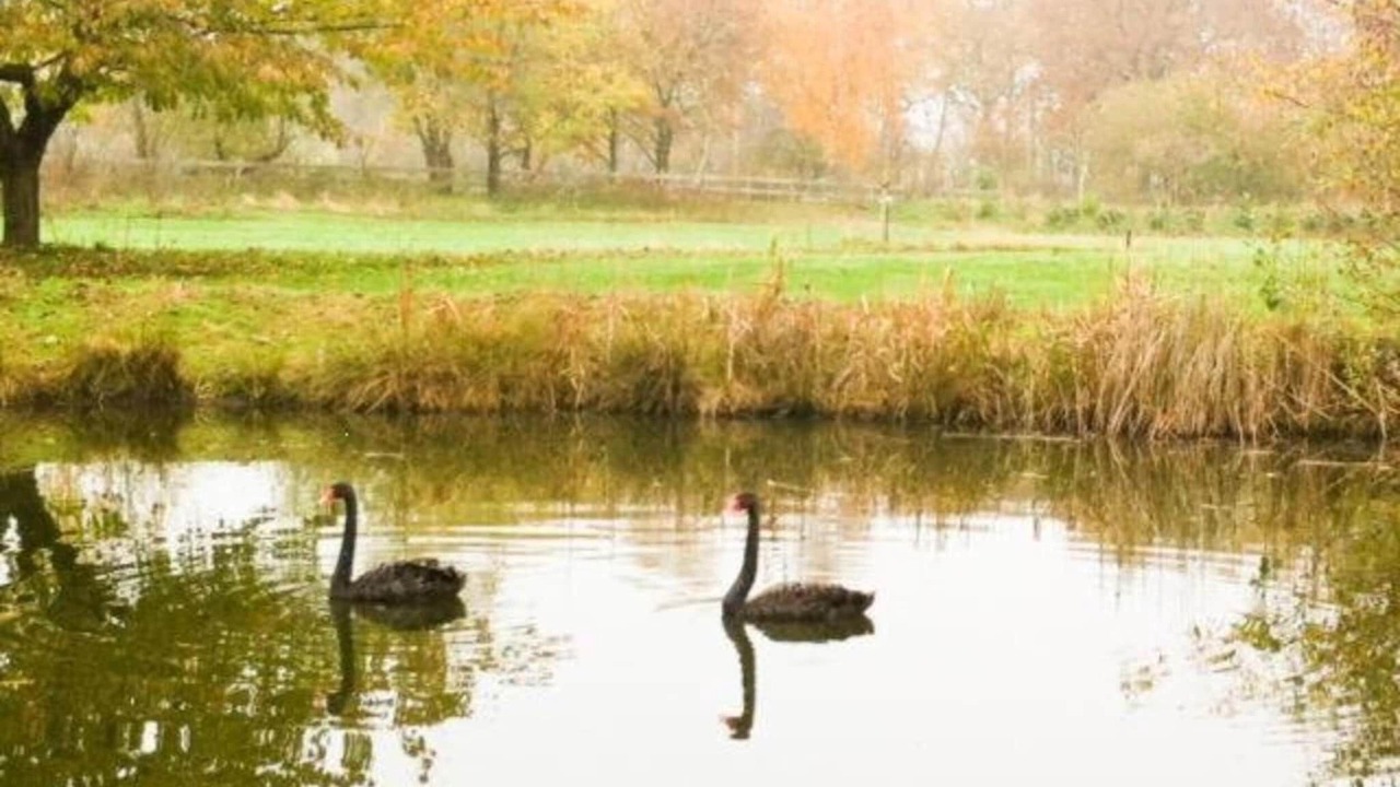 Photo of Others in Ferienpark Gut Langen