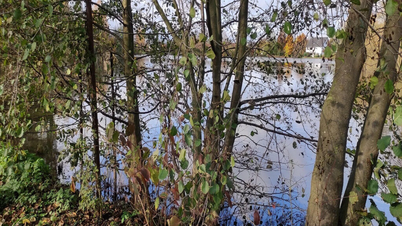 Photo of Others in Bissendorf