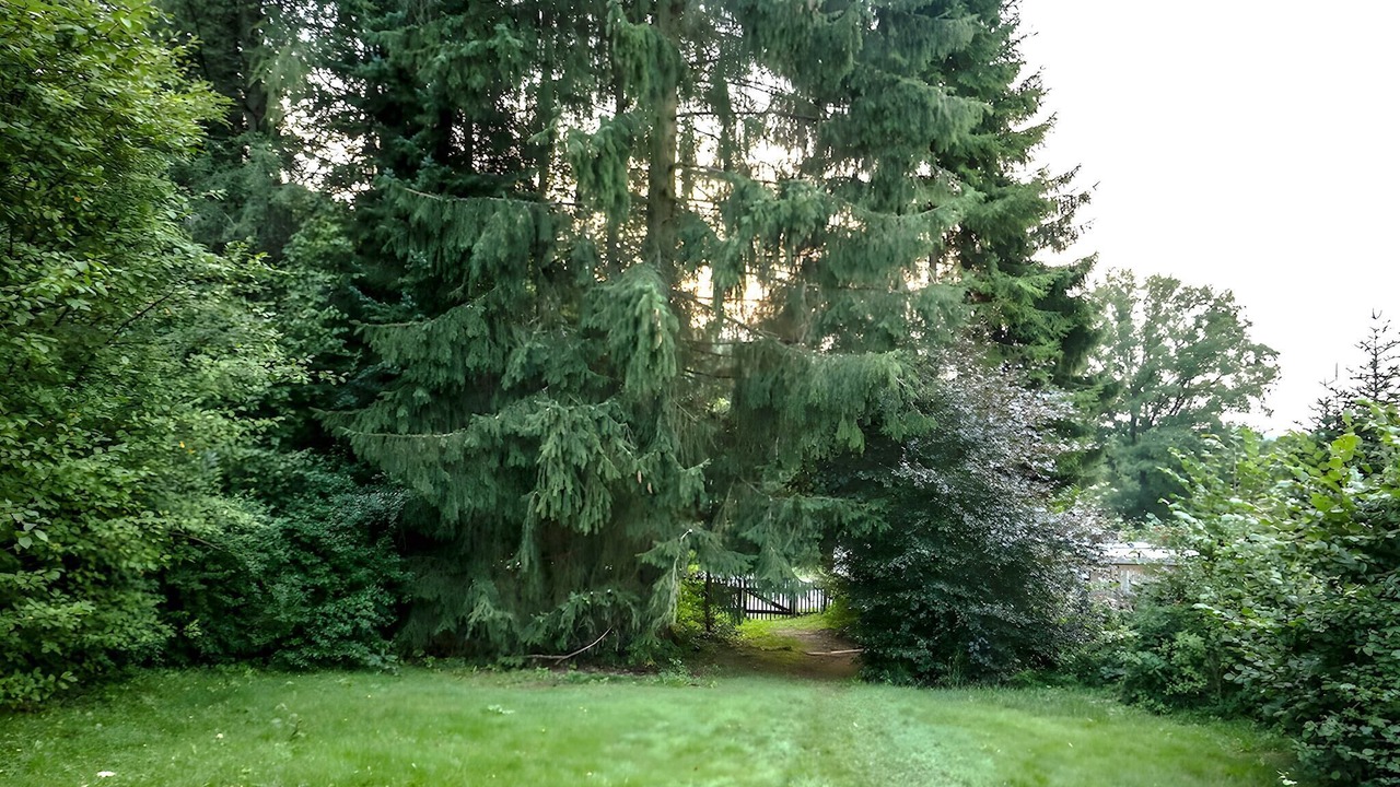 Photo of Outdoor in Oberhundem