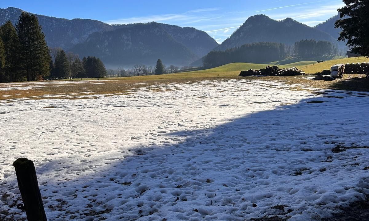 Photo of Others in Inzell