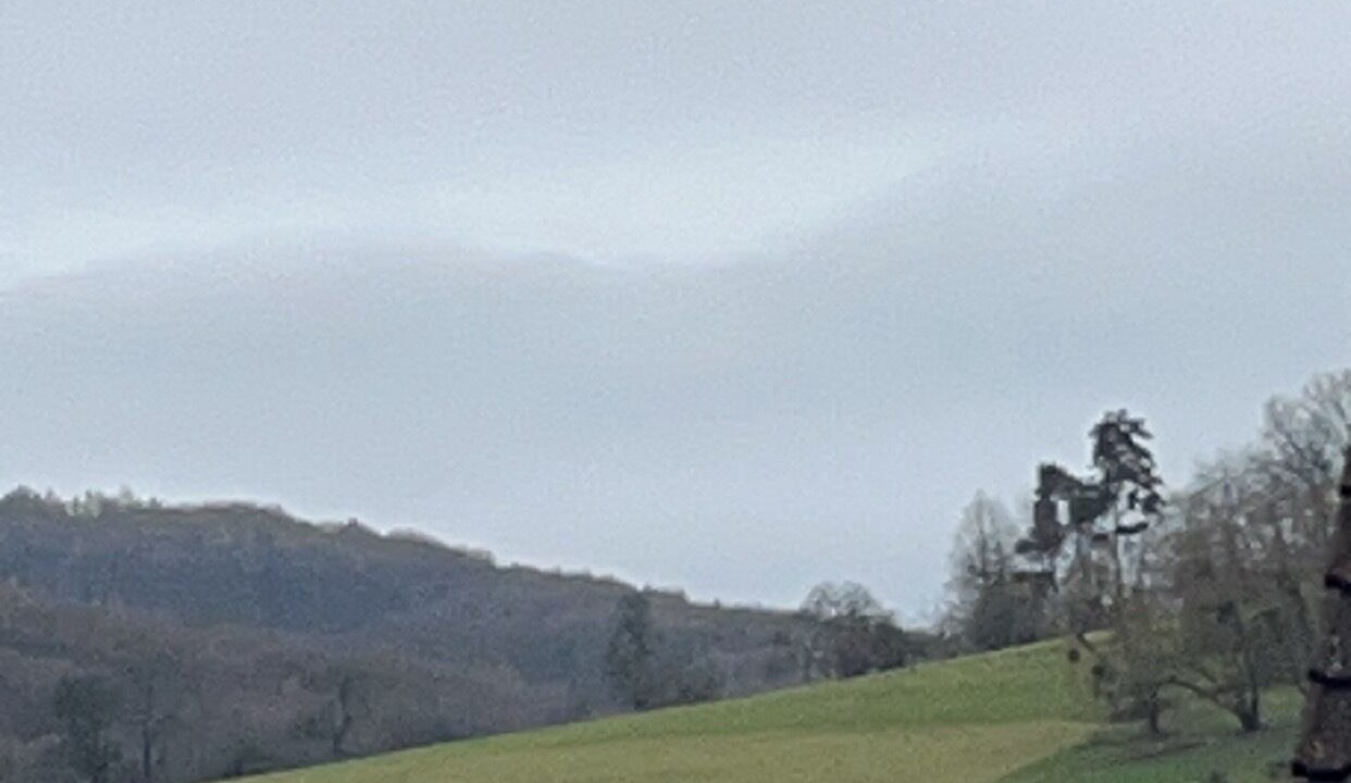 Photo of Others in Niedersteinbach