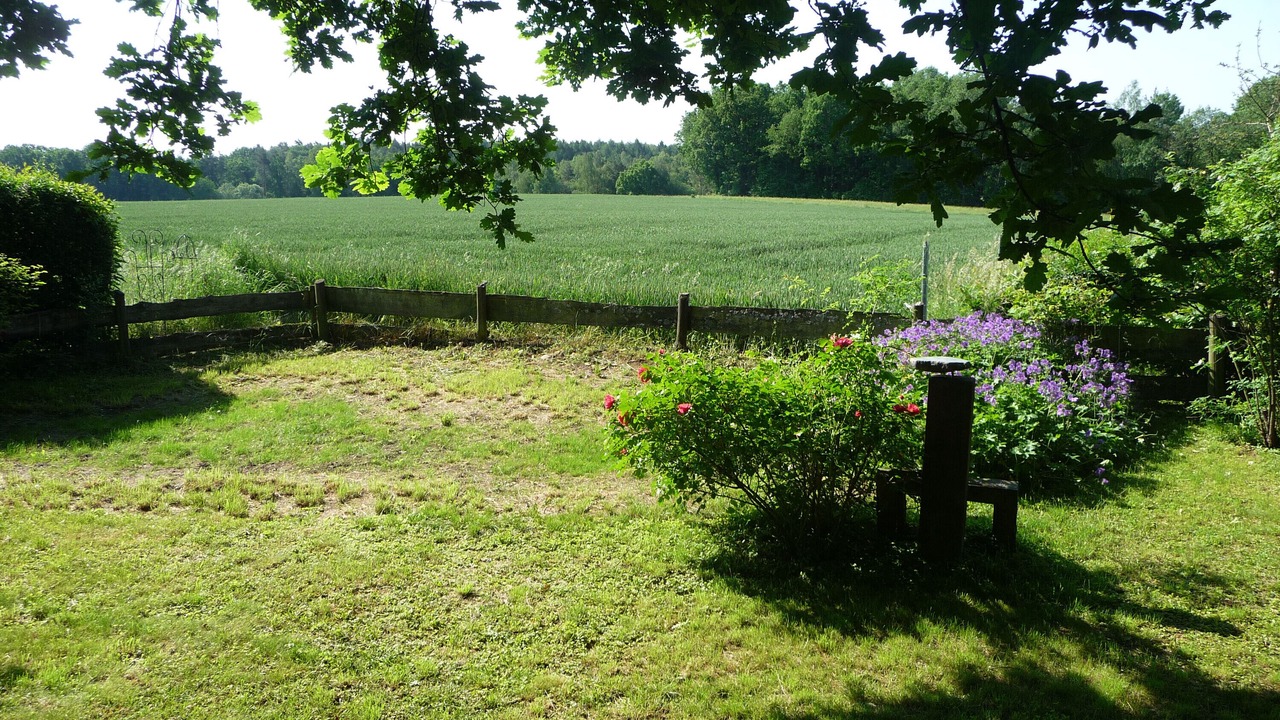 Photo of Outdoor in Roedental