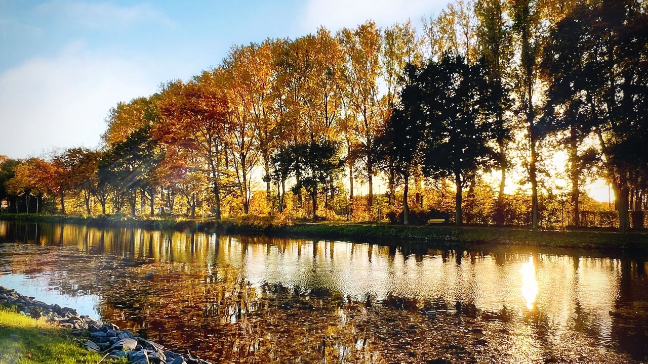 Photo of Others in Lingen