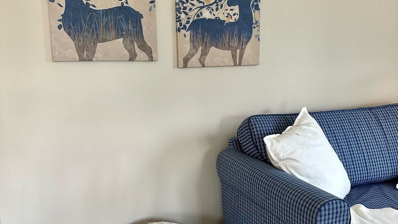 Photo of Livingroom in Peiting