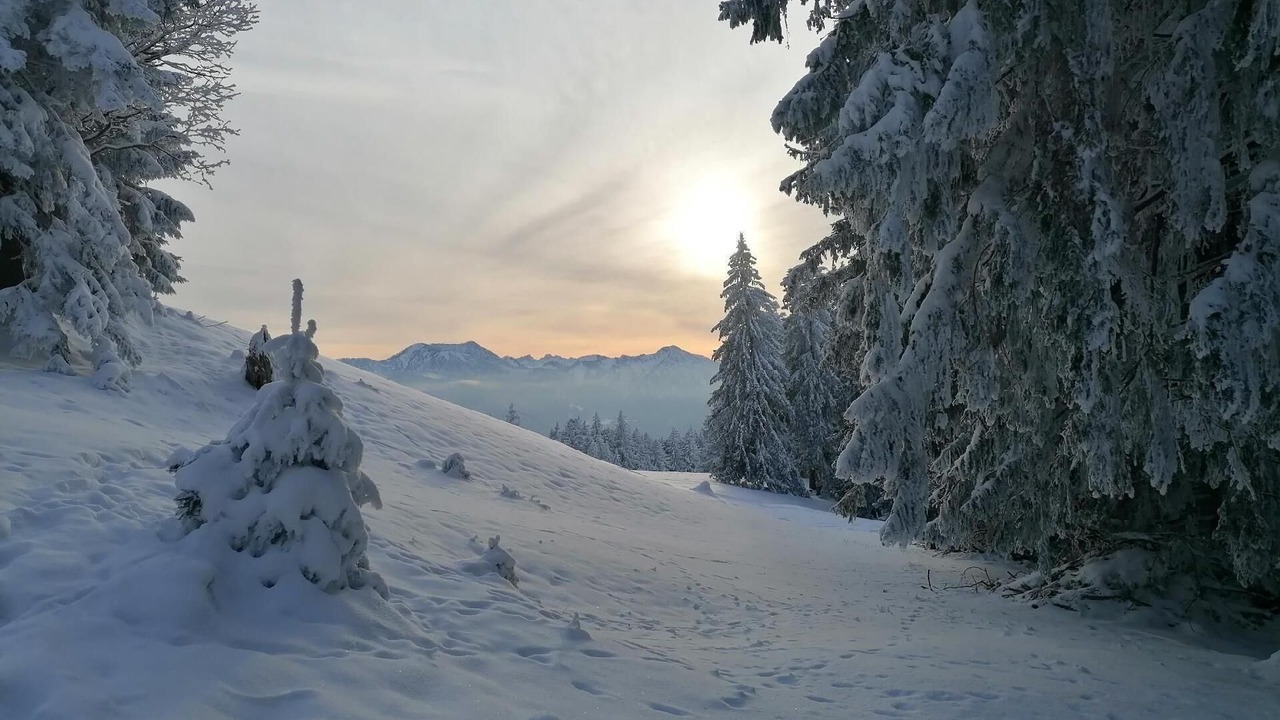 Photo of Others in Miesbach