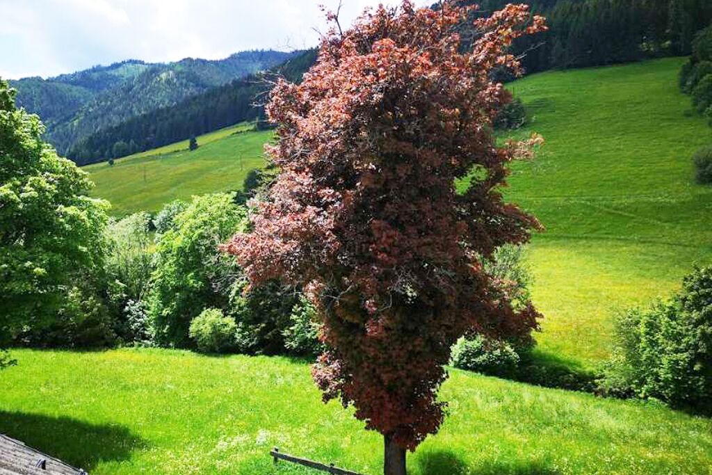 Photo of Others in Sankt Johann am Tauern