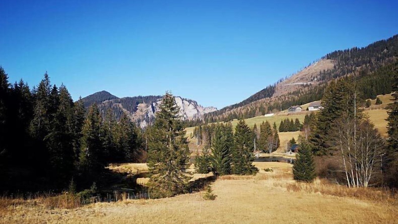 Photo of Others in Sankt Johann am Tauern