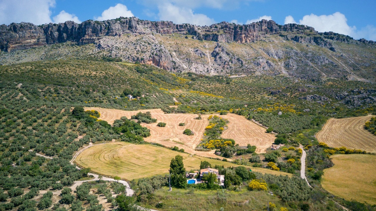 Photo of Others in Antequera