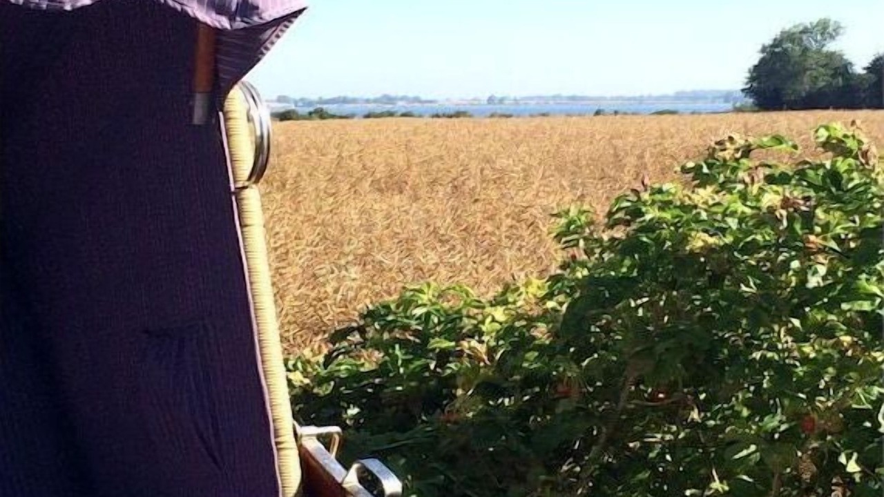 Photo of Outdoor in Zierow