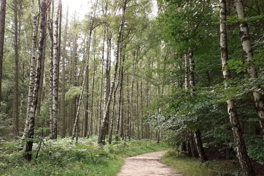 Photo of Outdoor in Sebnitz