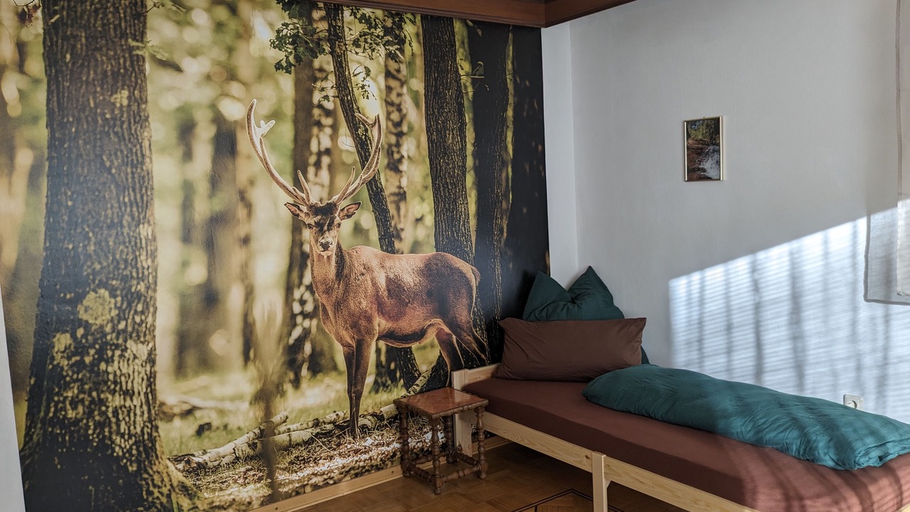 Photo of Bedroom in Momlingen