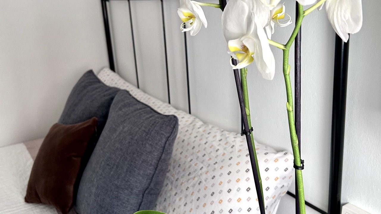 Photo of Bedroom in Benicarlo