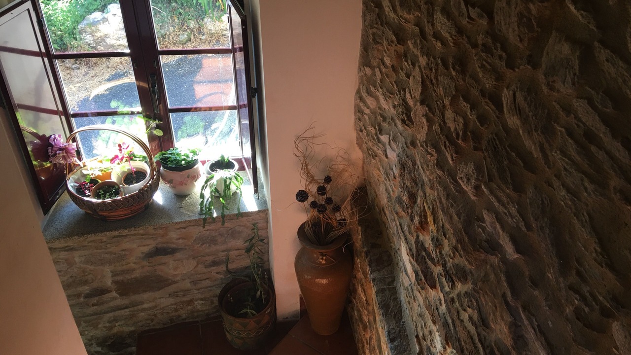 Photo of Others in Ortigueira
