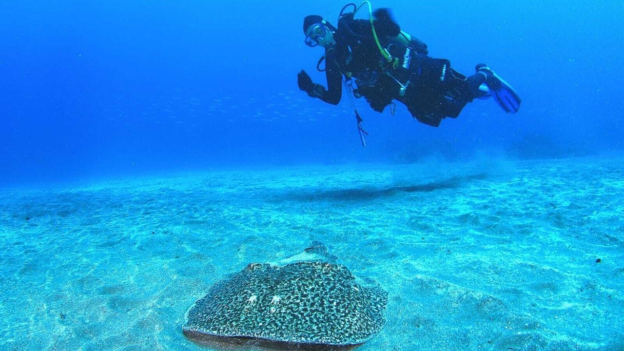 Photo of Others in Sardina