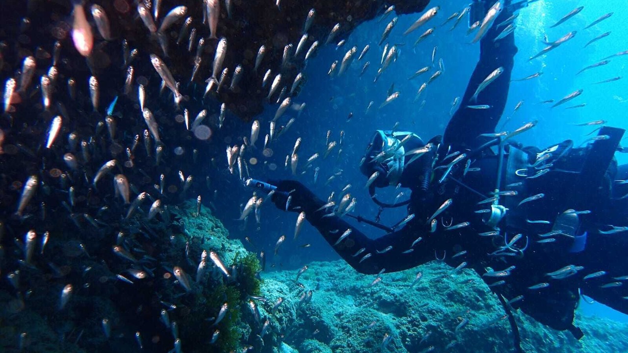 Photo of Others in Sardina