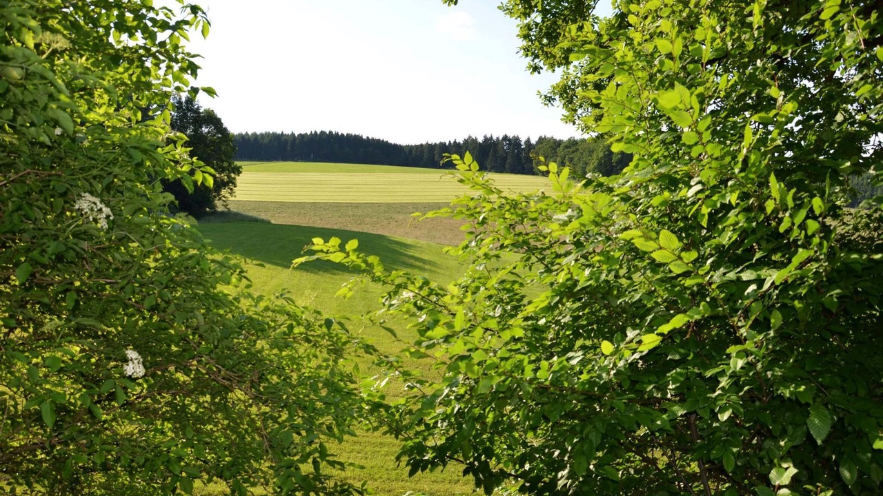 Photo of Others in Lennestadt