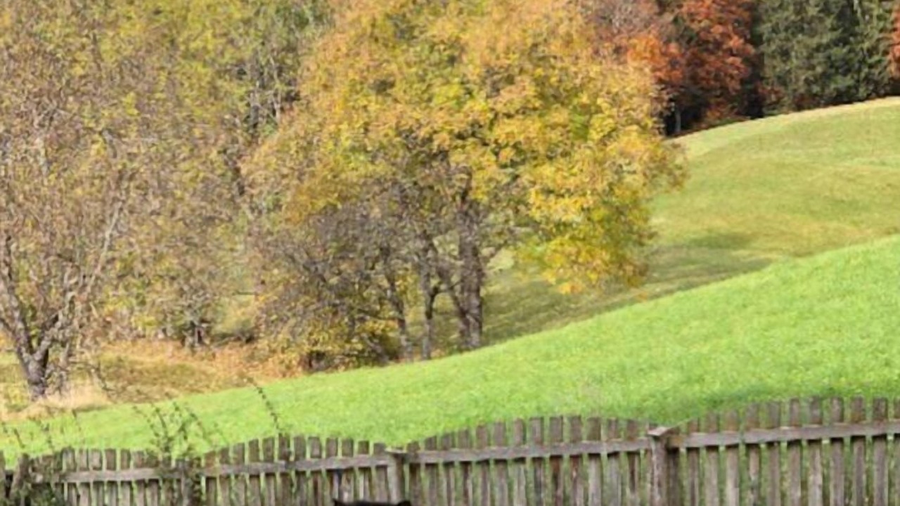 Photo of Outdoor in Obsteig
