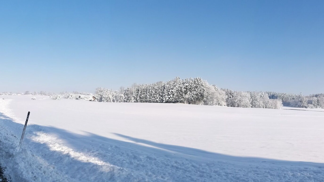 Photo of Others in Berganger