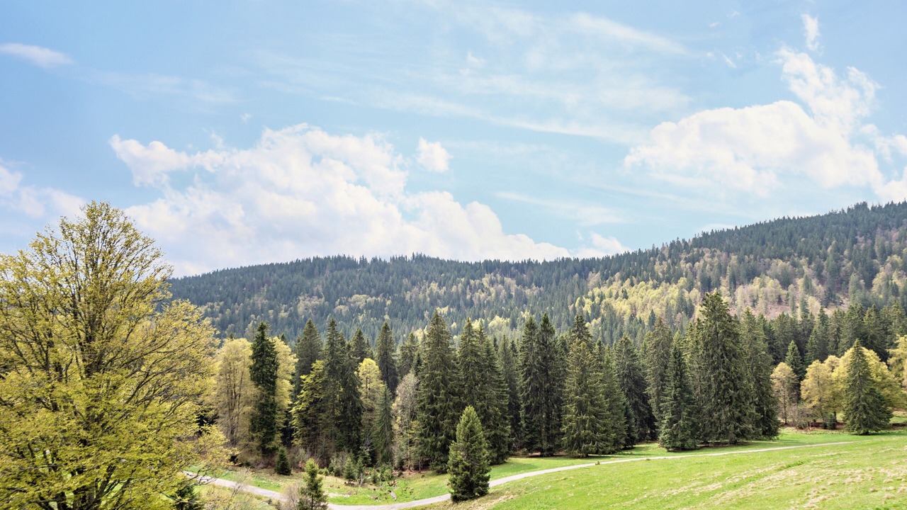 Photo of Others in Dottingen