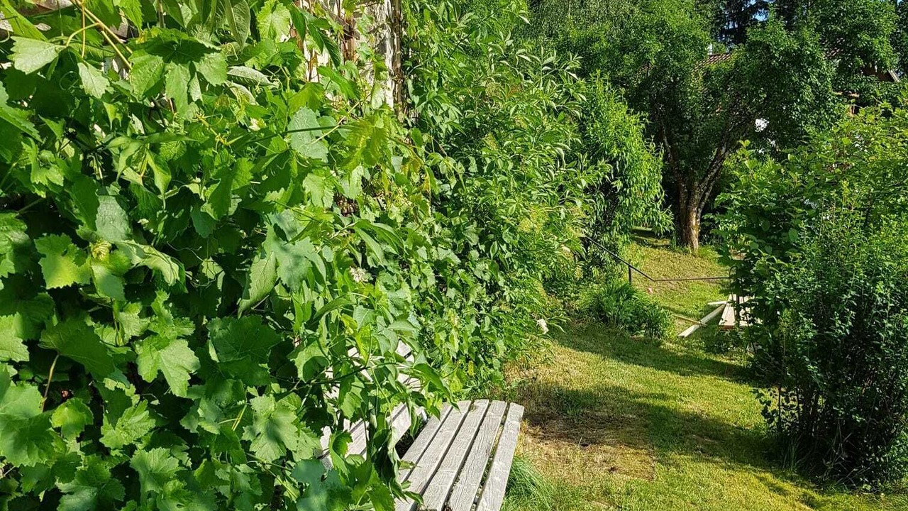 Photo of Outdoor in Perlesreut
