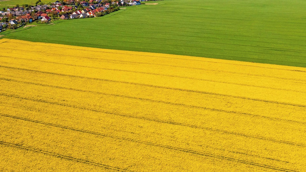 Photo of Outdoor in Boergerende-Rethwisch