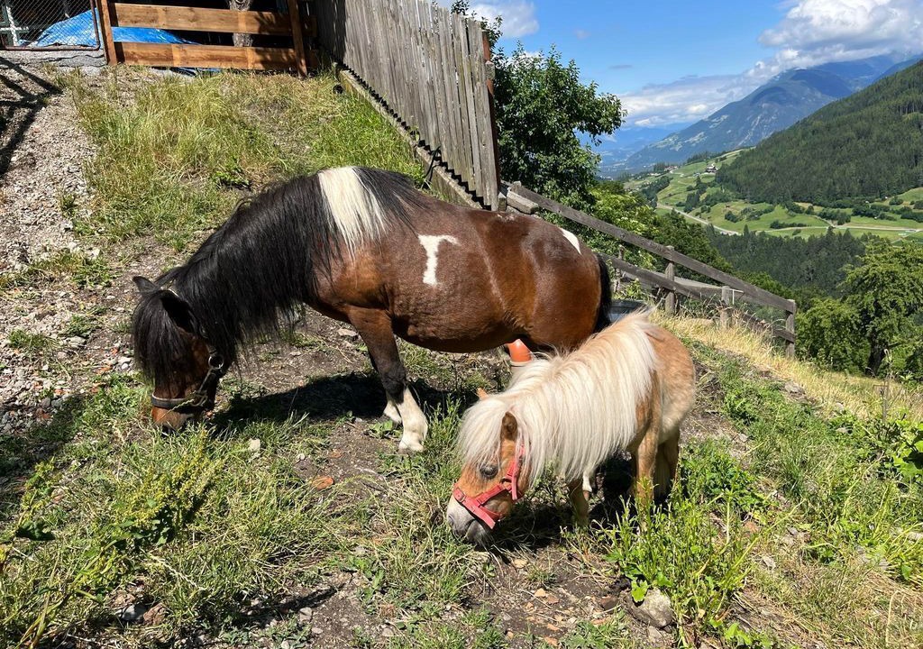 Photo of Others in Arzl im Piztal