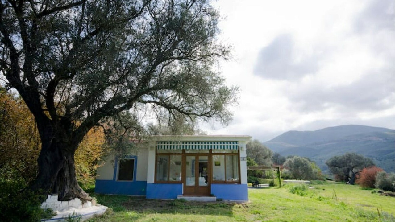 Photo of Outdoor in Orgiva