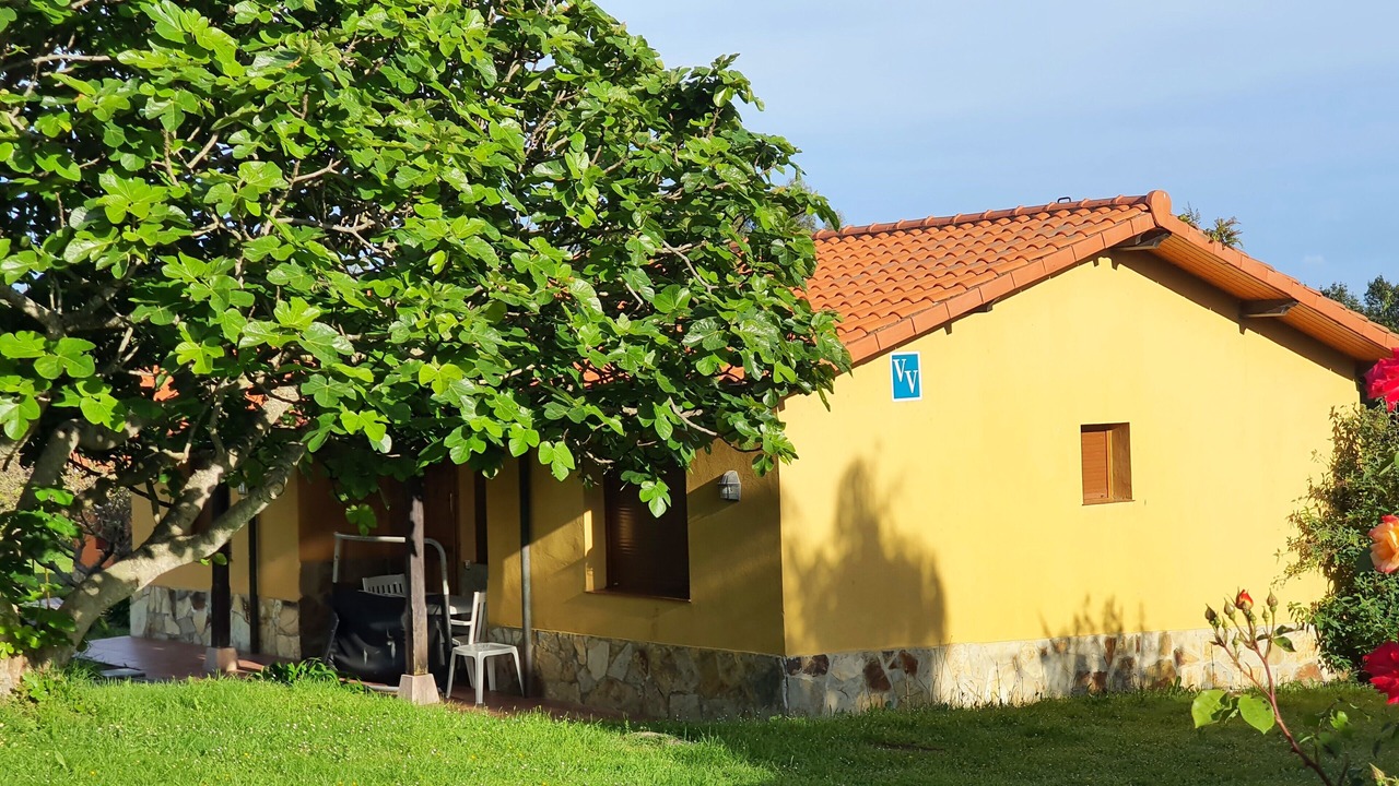 Photo of Others in Ovio