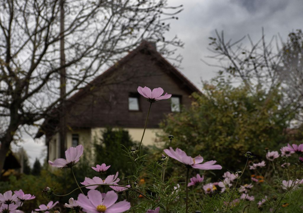 Photo of Others in Bad Gottleuba-Berggiesshuebel