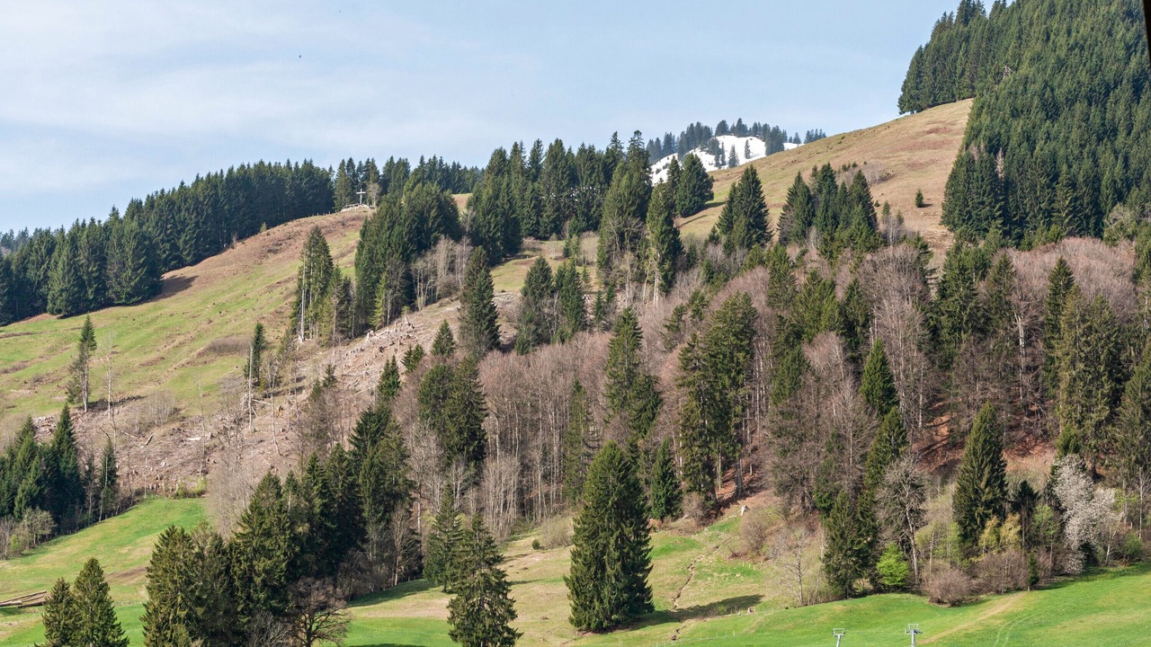 Photo of Others in Bolsterlang