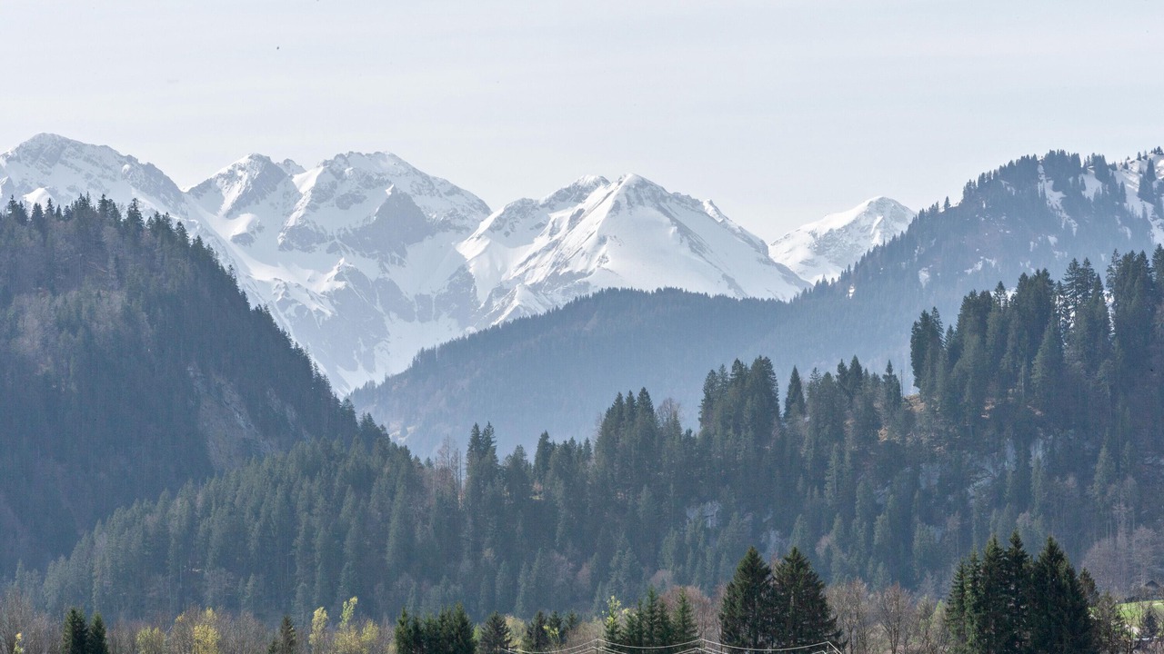 Photo of Others in Bolsterlang