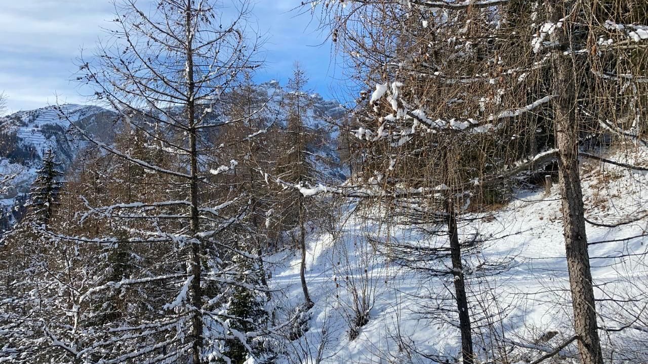 Photo of Others in Albinen