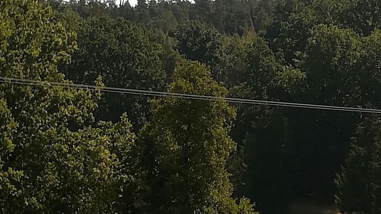 Photo of Others in Bechhofen