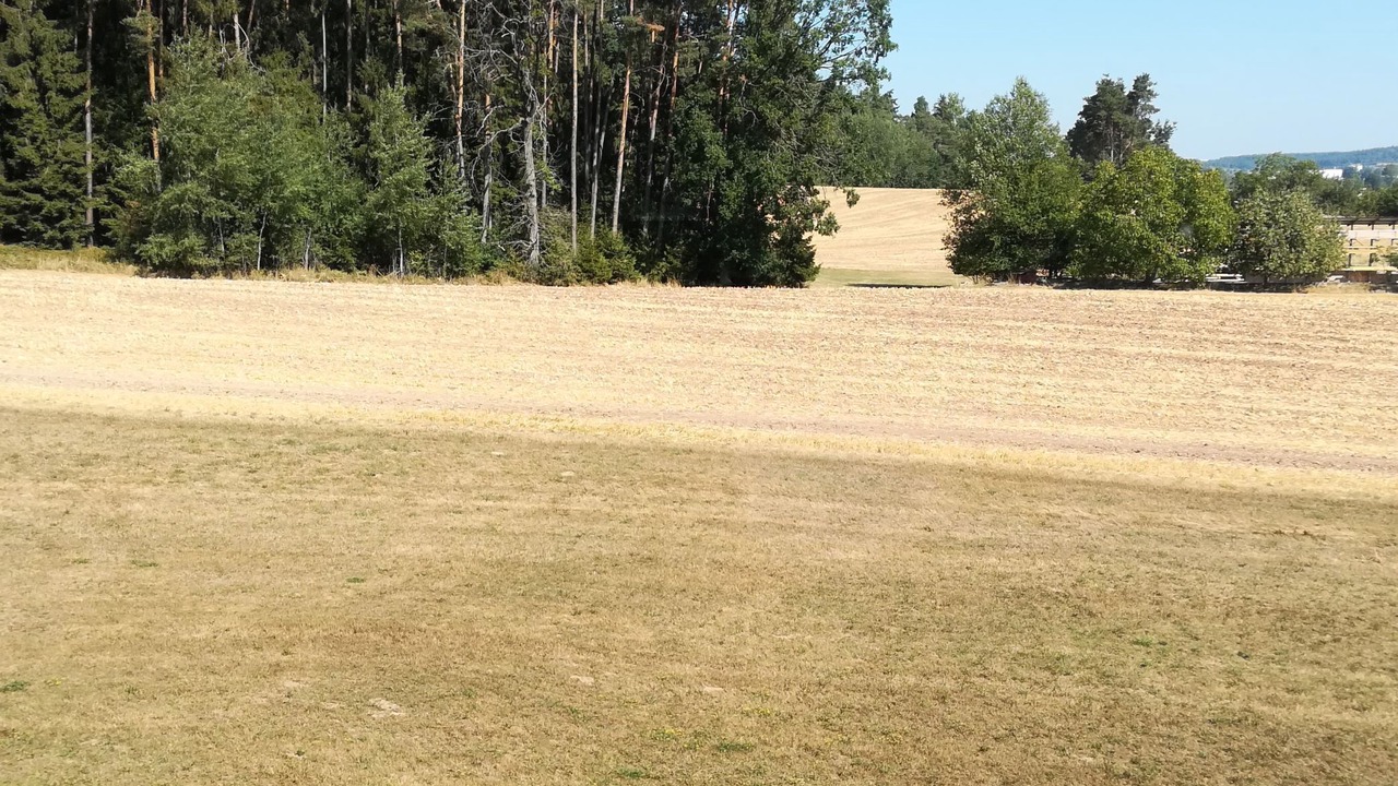 Photo of Outdoor in Bechhofen