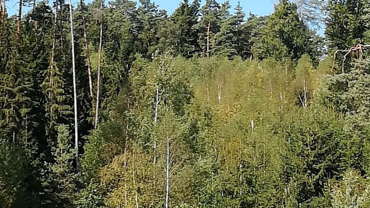 Photo of Others in Bechhofen
