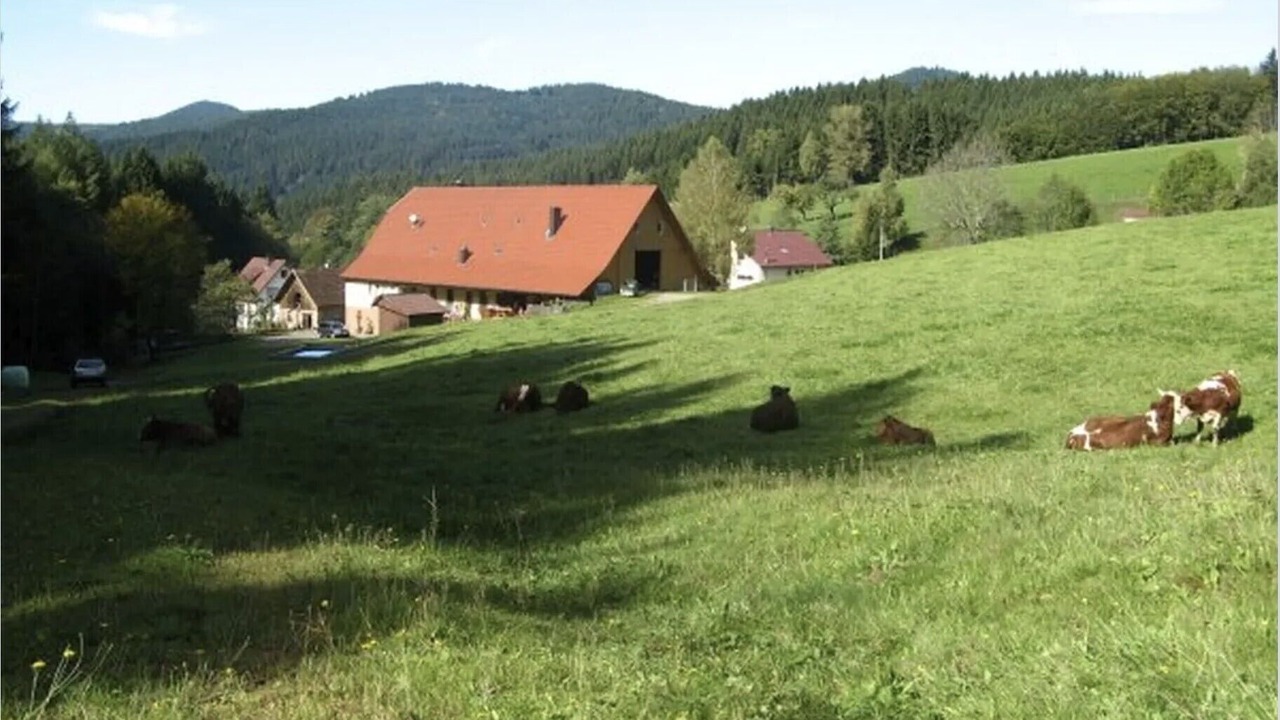 Photo of Others in Wolfach - Saint Roman