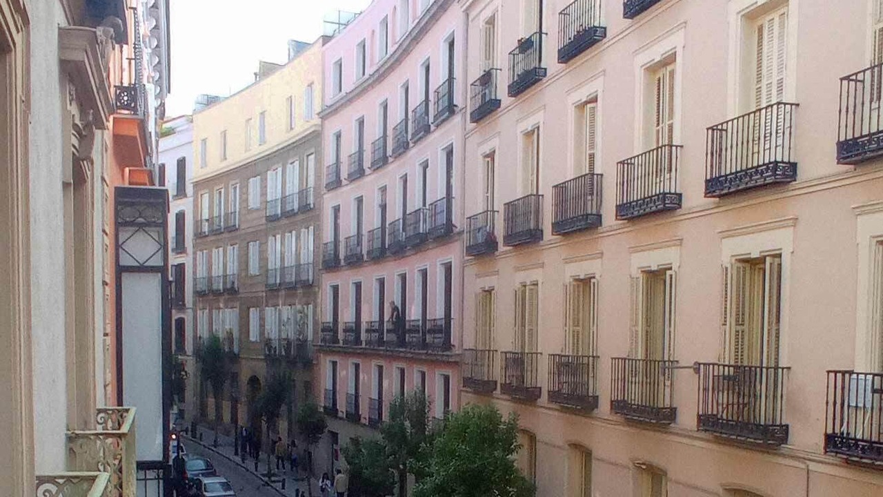 Photo of Others in Palacio