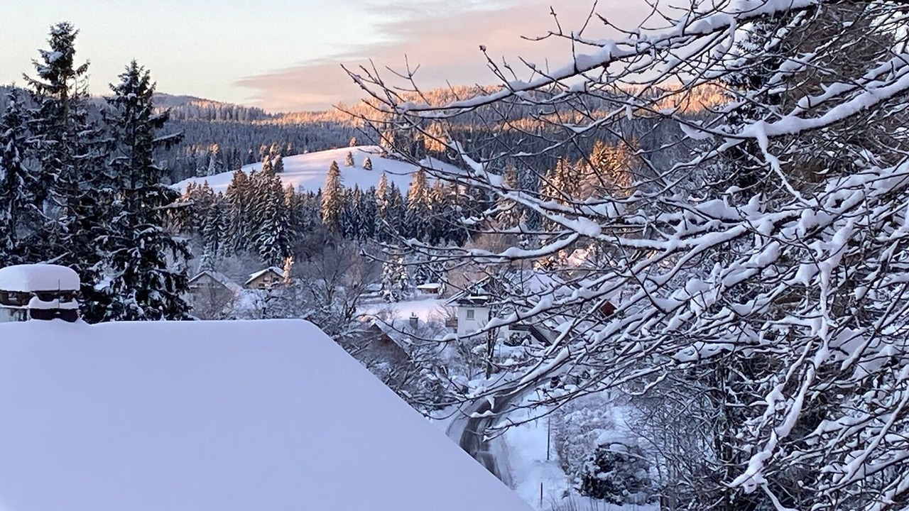 Photo of Outdoor in Falkau