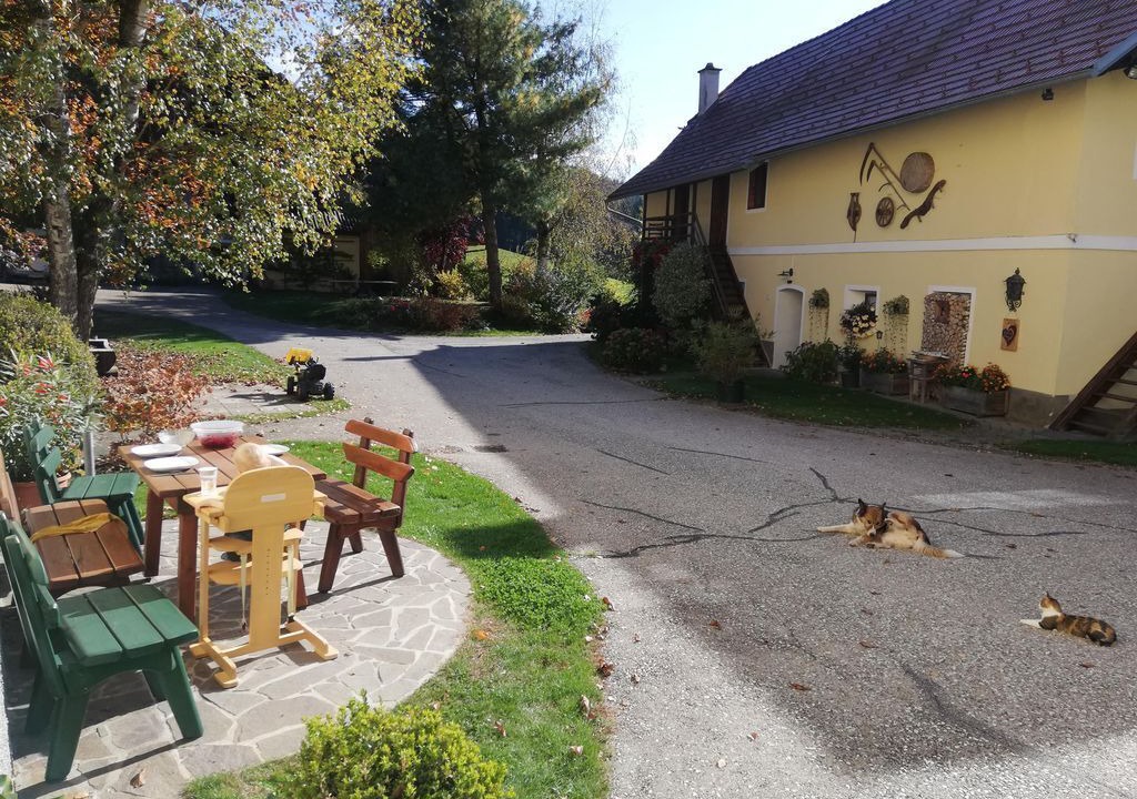 Photo of Outdoor in Guttaring