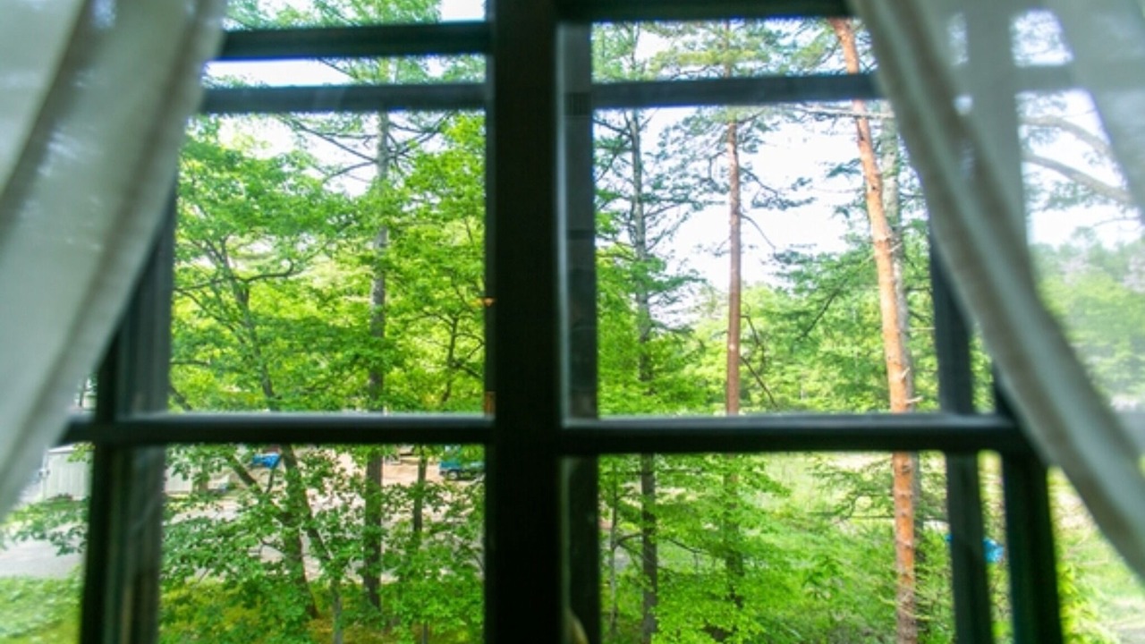 Photo of Others in Hakuba