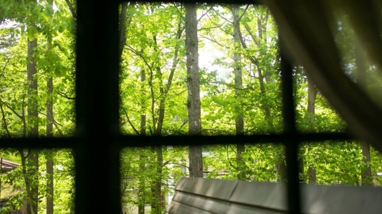 Photo of Outdoor in Hakuba