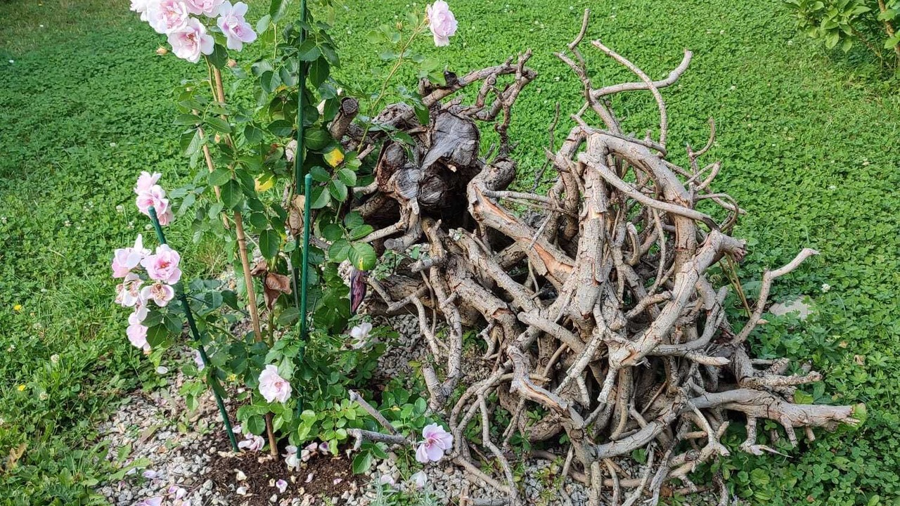Photo of Outdoor in Hofheim in Unterfranken