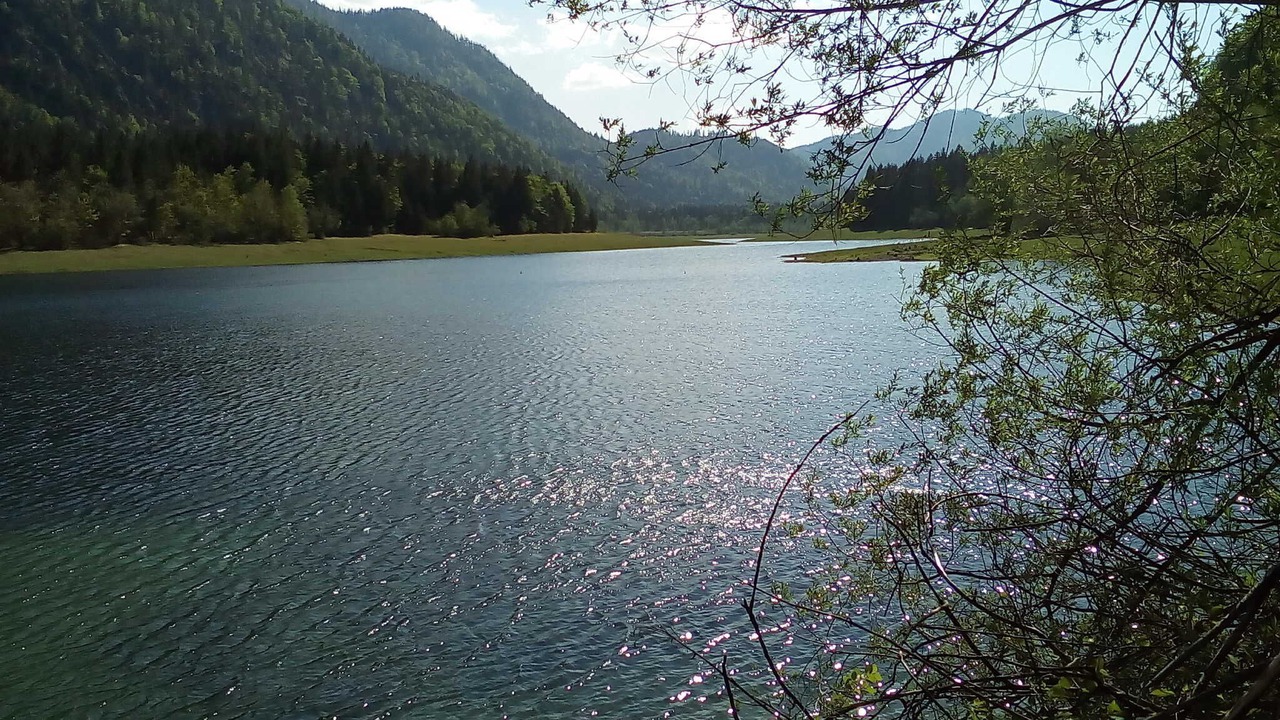Photo of Others in Feichten